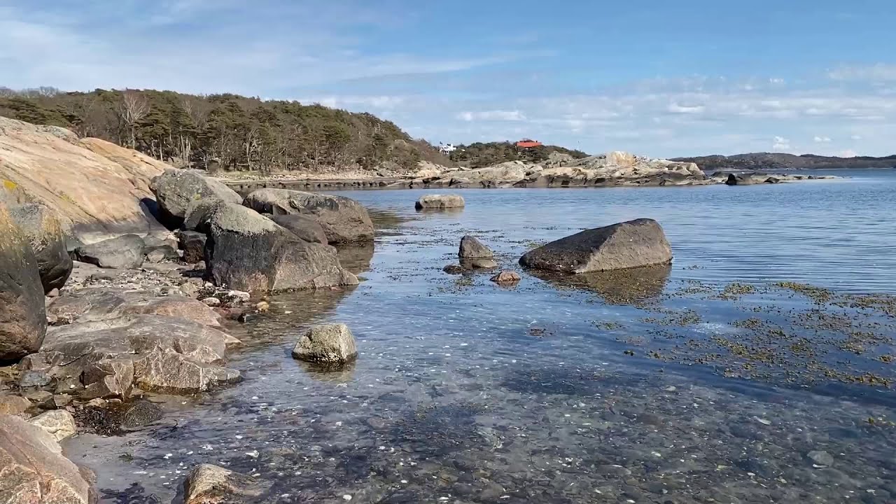 Särö Västerskog , Sweden 🇸🇪 20200424