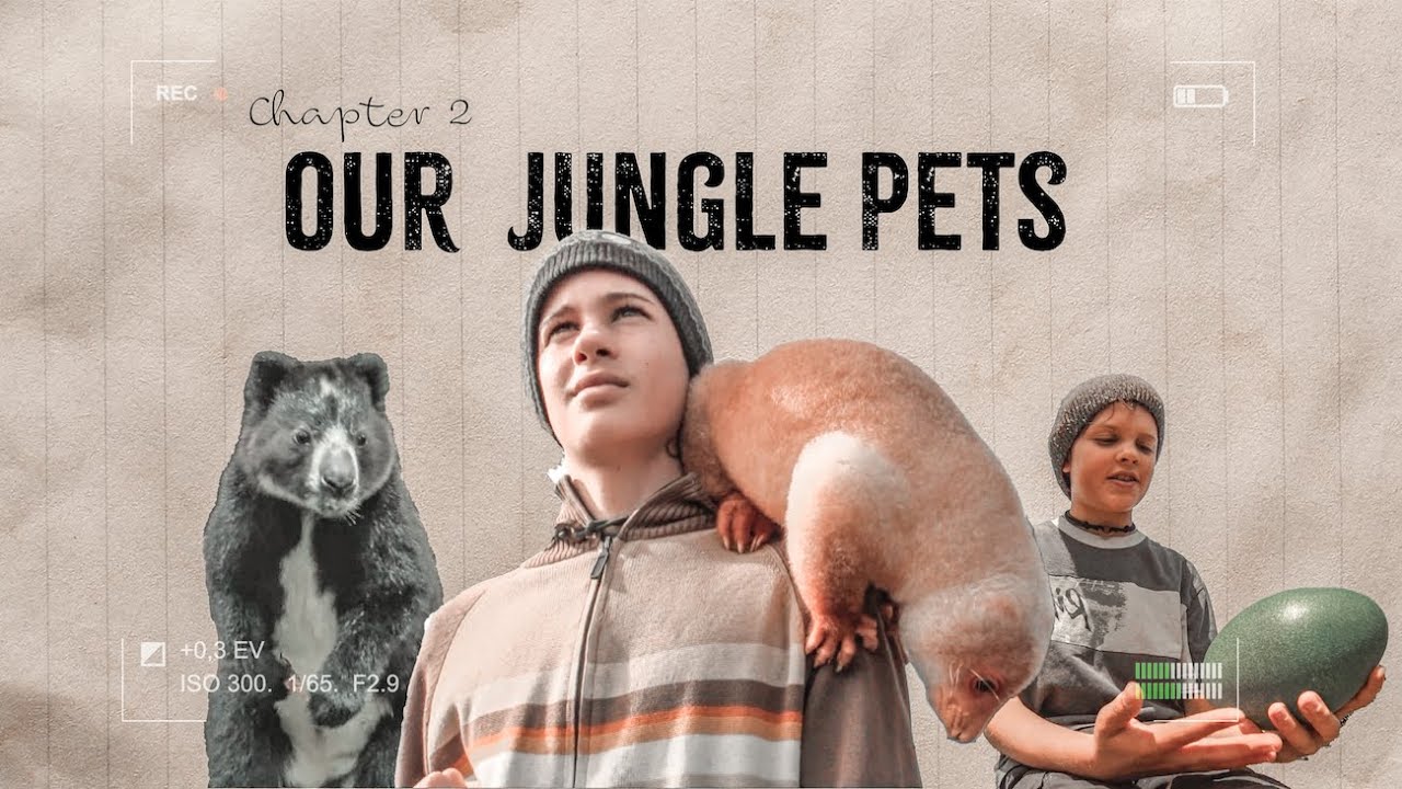 Our Jungle Pets | Full Episode