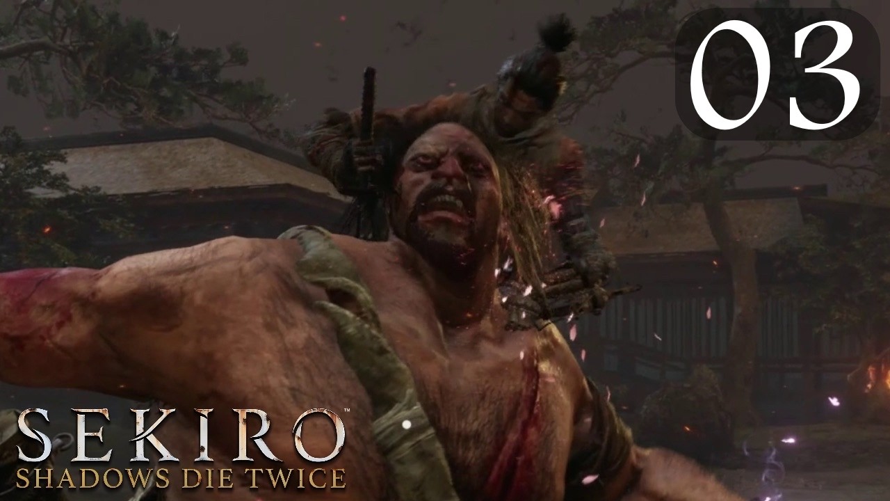Sekiro - Part 03, Confused Noises