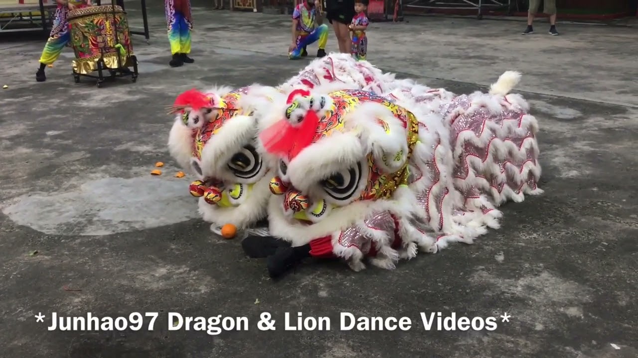 新加坡善藝龍獅院 Shan Yi Lion Dance Cai Qing Performance at Chin Fook Meow 12 Mar 2022