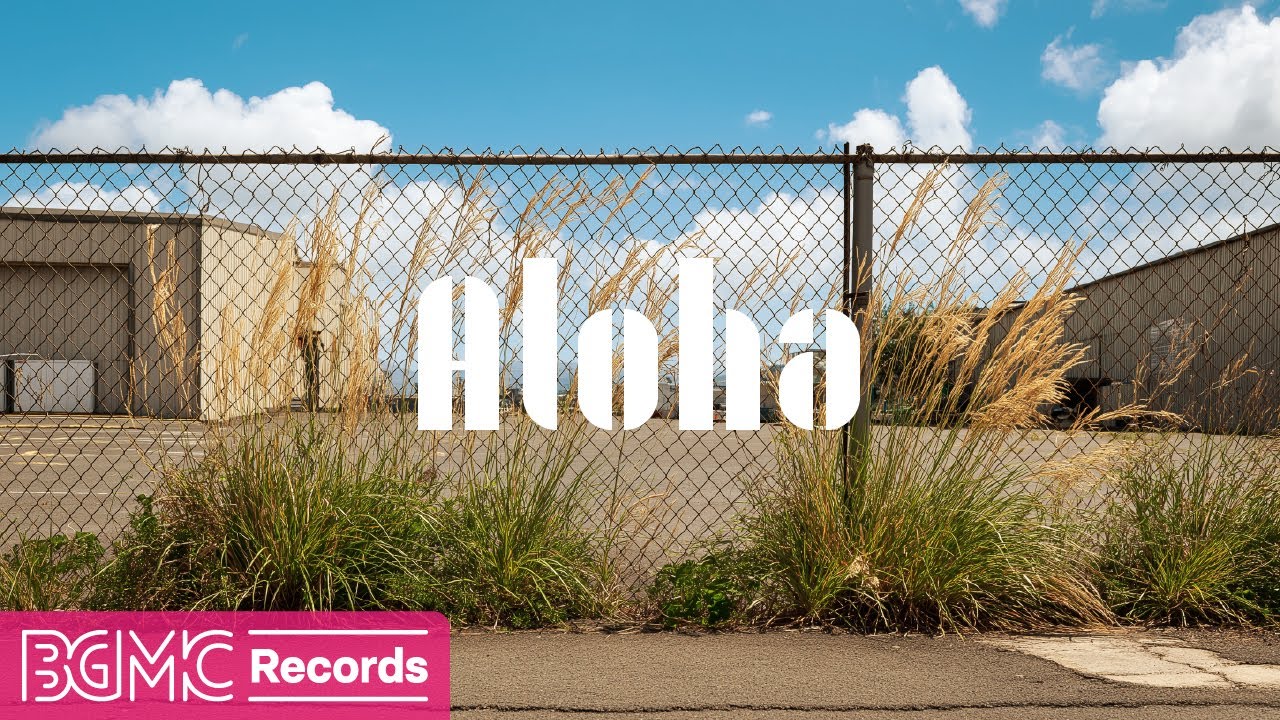 Hawaiian Music for Calm Vibes Amid Urban Silence | Relax and Work with Tropical Soundscapes