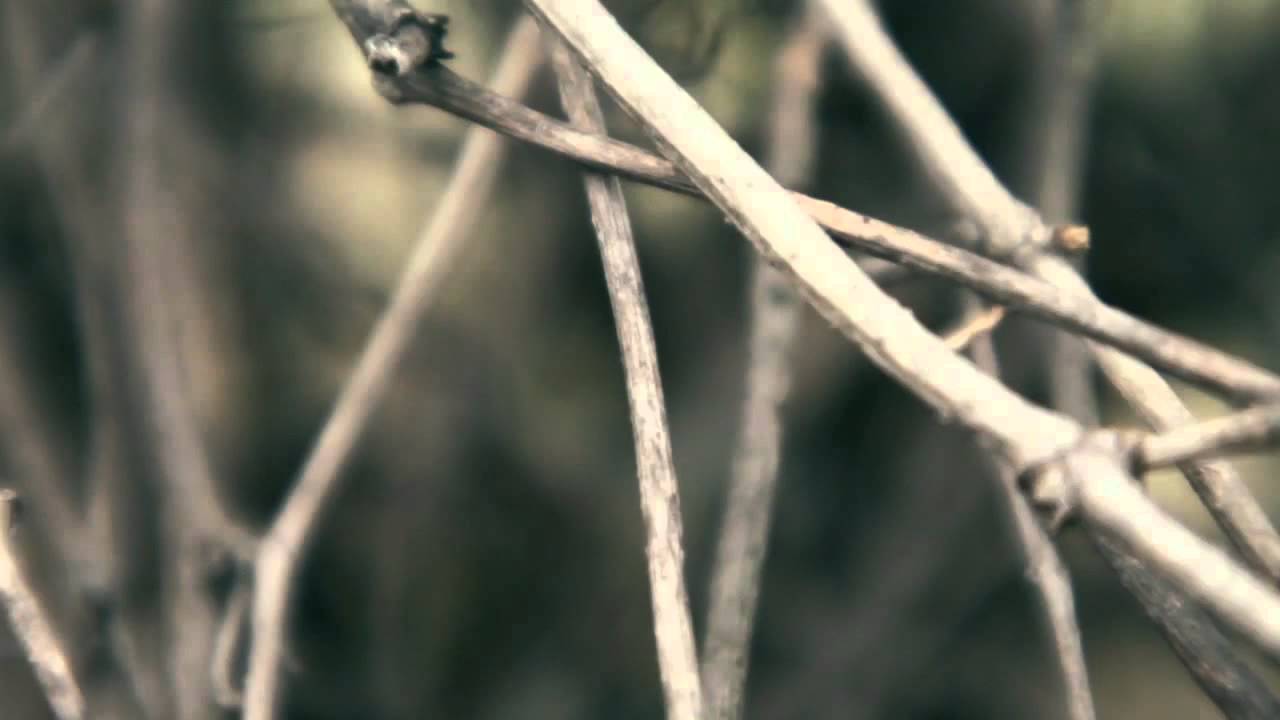Konstantin Kofta brand teaser