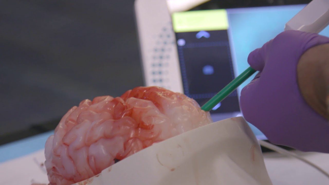 AANS 2018 - Introduction to Cerebrovascular