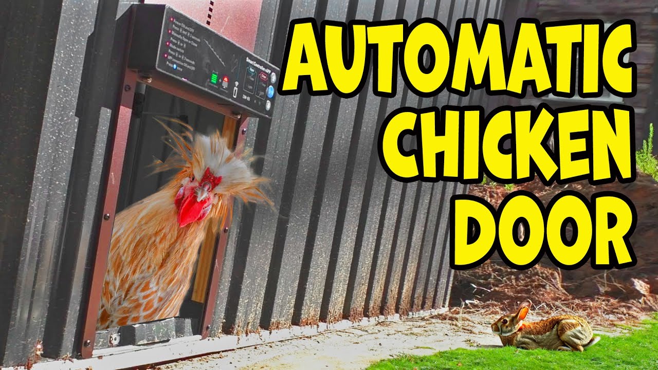 Effortless Coop Access: Installing an Automatic Chicken Door Step-by-Step!