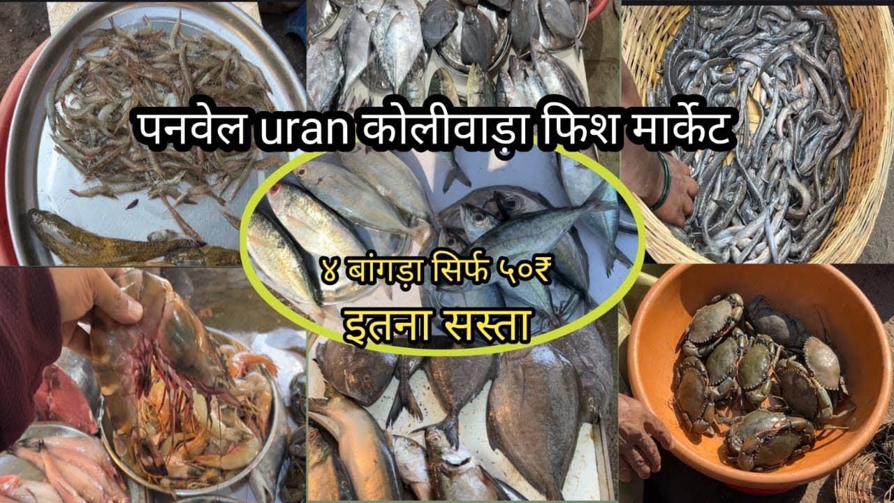 Mumbai Panvel Fish Market | Panvel Uran Naka Fish Market | Wholesale Fish Market |