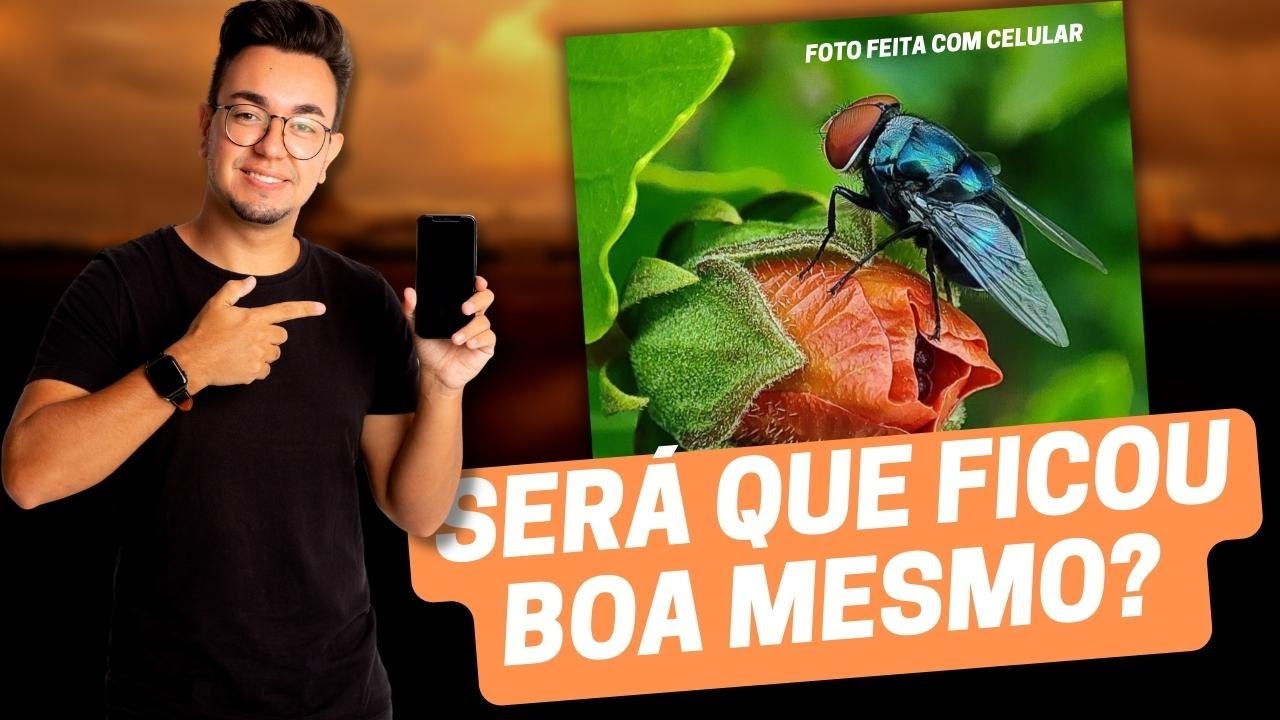 Avaliando Fotos dos Seguidores! (Forma Poderosa de Aprender Fotografia)