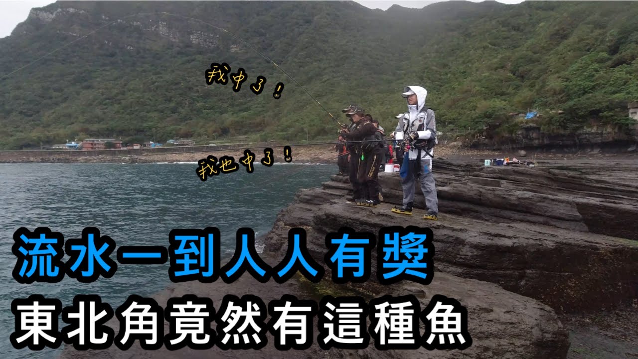 『東北角系列』很多人上外礁為了釣這種魚 沒想到東北角就有了！！！#巴斯 #磯釣 #鶯歌石 #黑石子線 #釣魚 #藻磯 #宜蘭 #taiwan #taiwanfishing