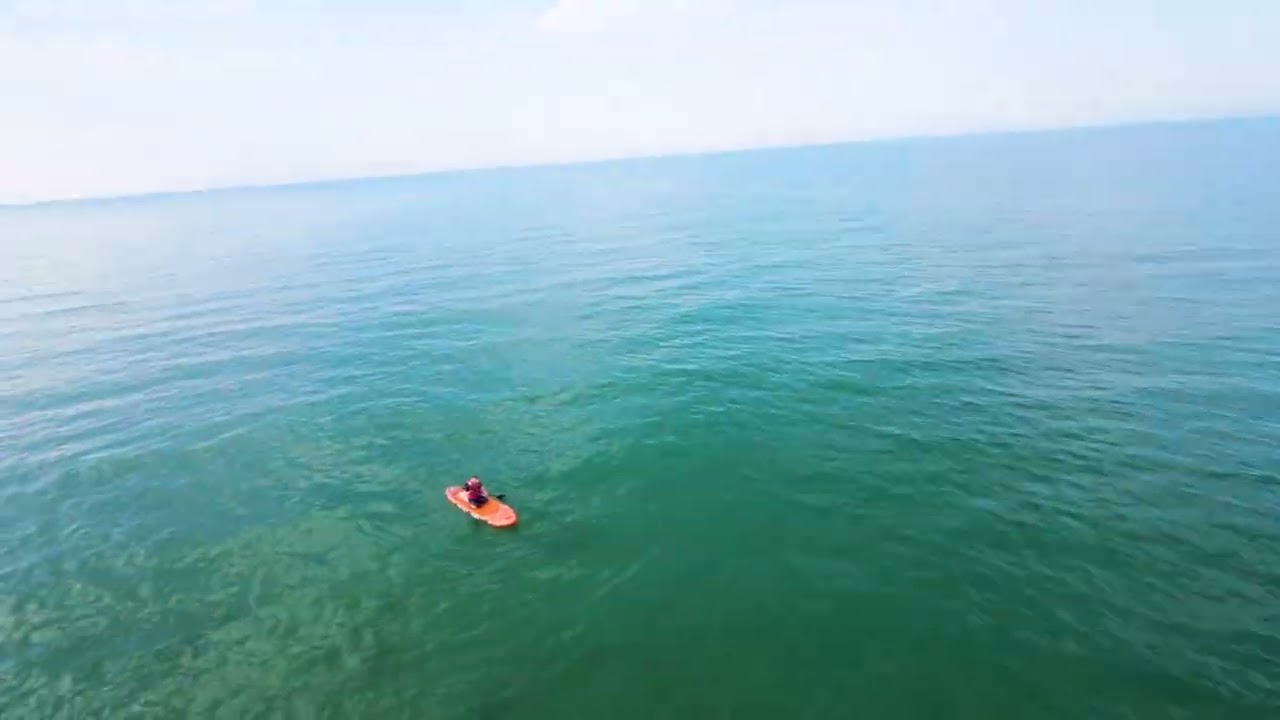 Человек в море, собака на песке