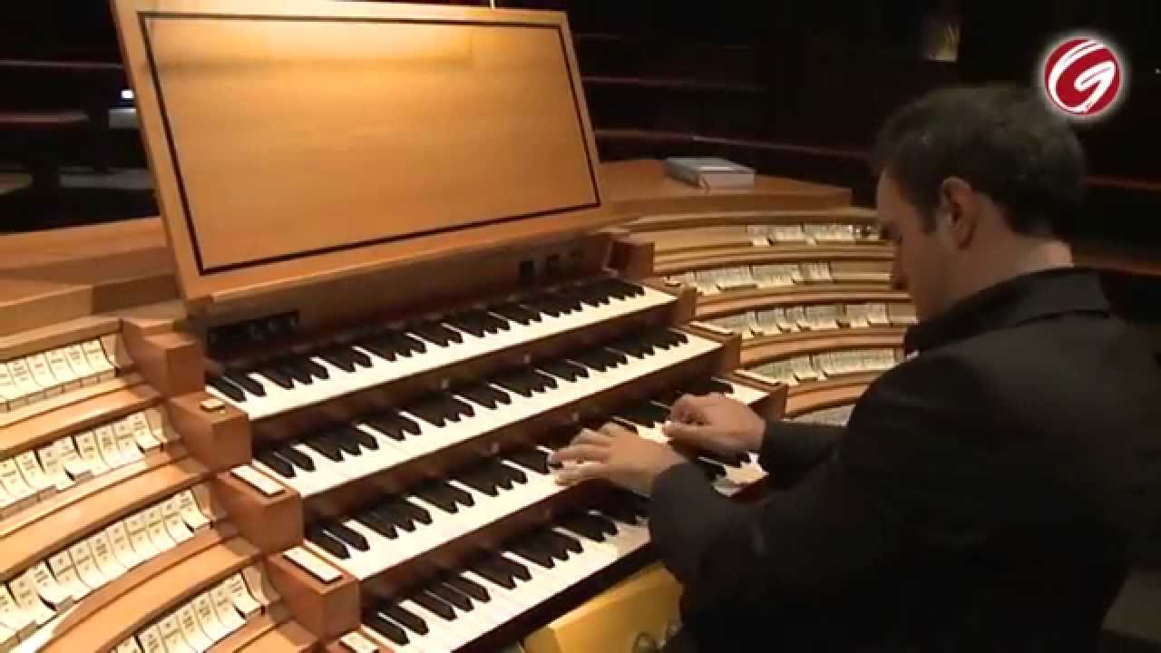 Concierto de órgano en la Catedral de Colonia - Juan de la Rubia