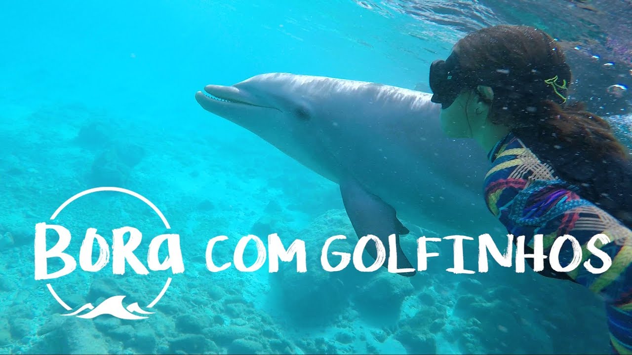 BORA #93 - NADANDO COM GOLFINHOS! A melhor sensação do Mundo (English/Spanish CC)