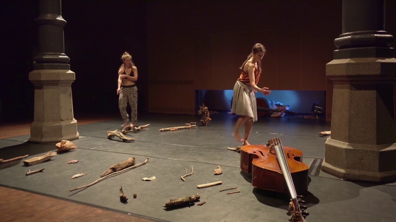 Barbara Bess - aufbäumen - Kulturforum Fürth
