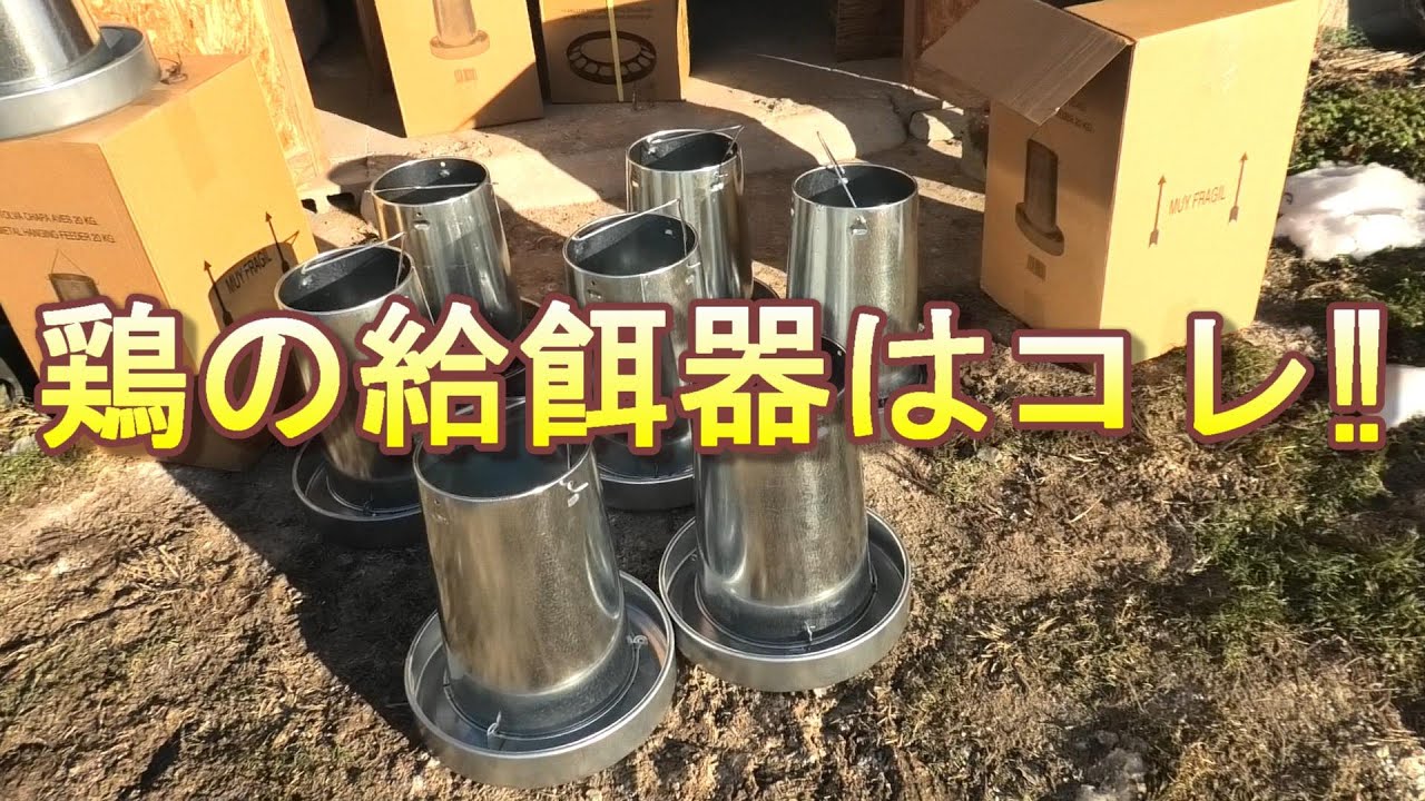 鶏の給餌器はコレ