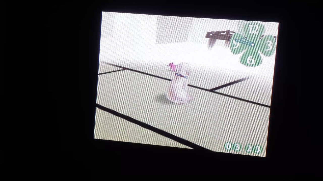 Nintendogs Breeding: Introduction