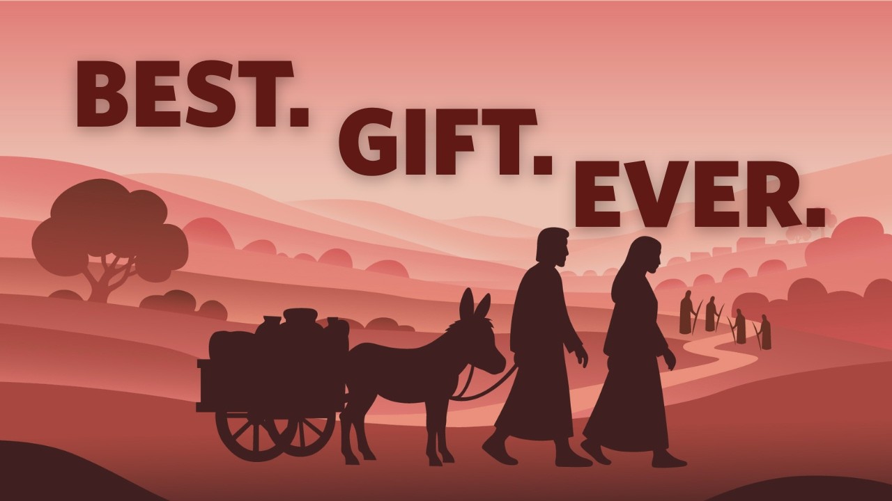Best. Gift. Ever. - Patrick the Donkey's Story