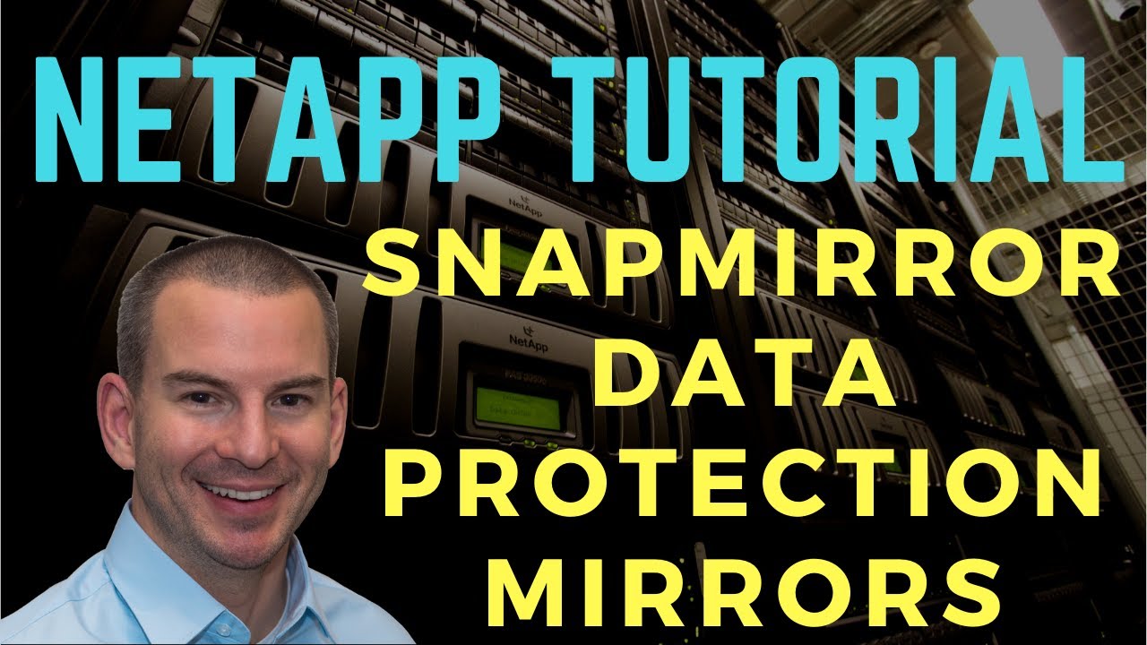 NetApp SnapMirror Data Protection Mirrors (new version)