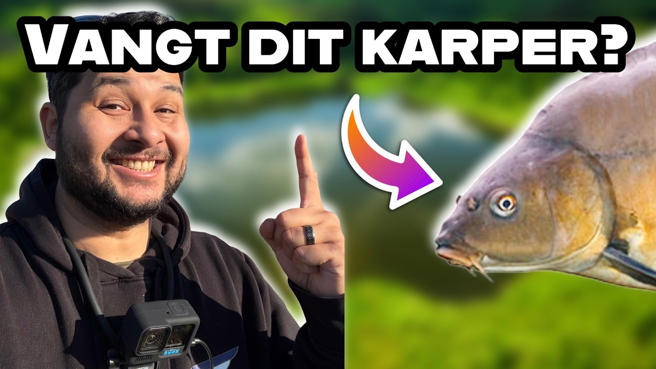 Karpervissen met het goedkoopste aas… werkt dit?!