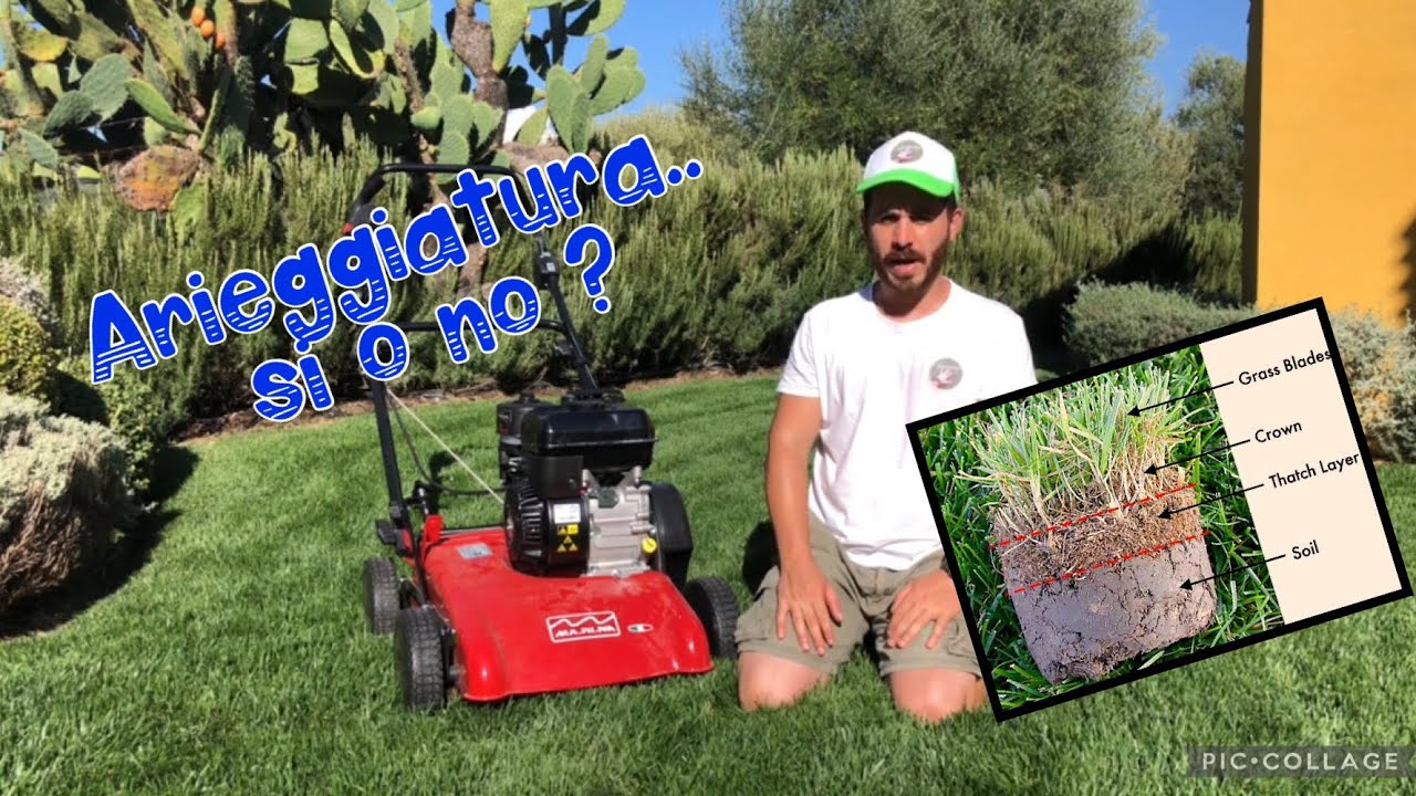Arieggiatura o Sfeltratura del tappeto erboso.  Obbligatorio farla ? I miei consigli