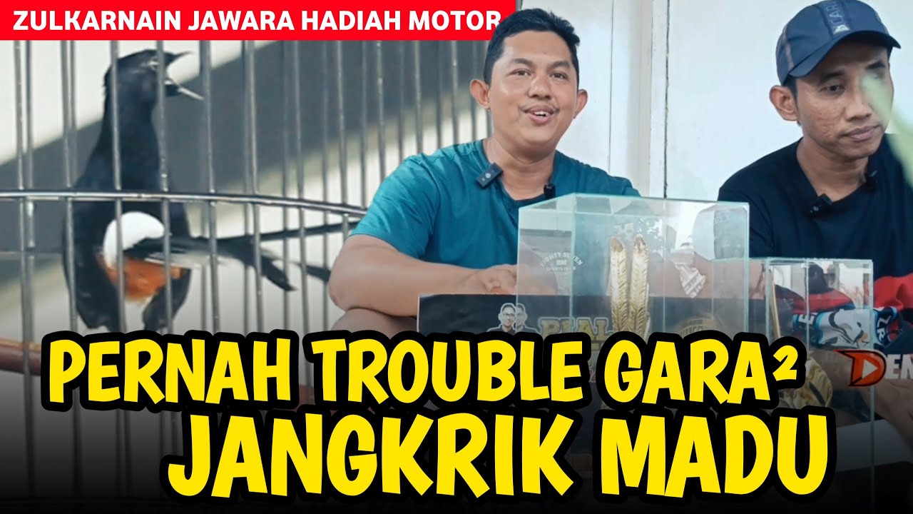 Rawatan Murai Tanpa Embun, Jemur, Umbar ‼️Murai Zulkarnain Juara Motor di Larisso Arena