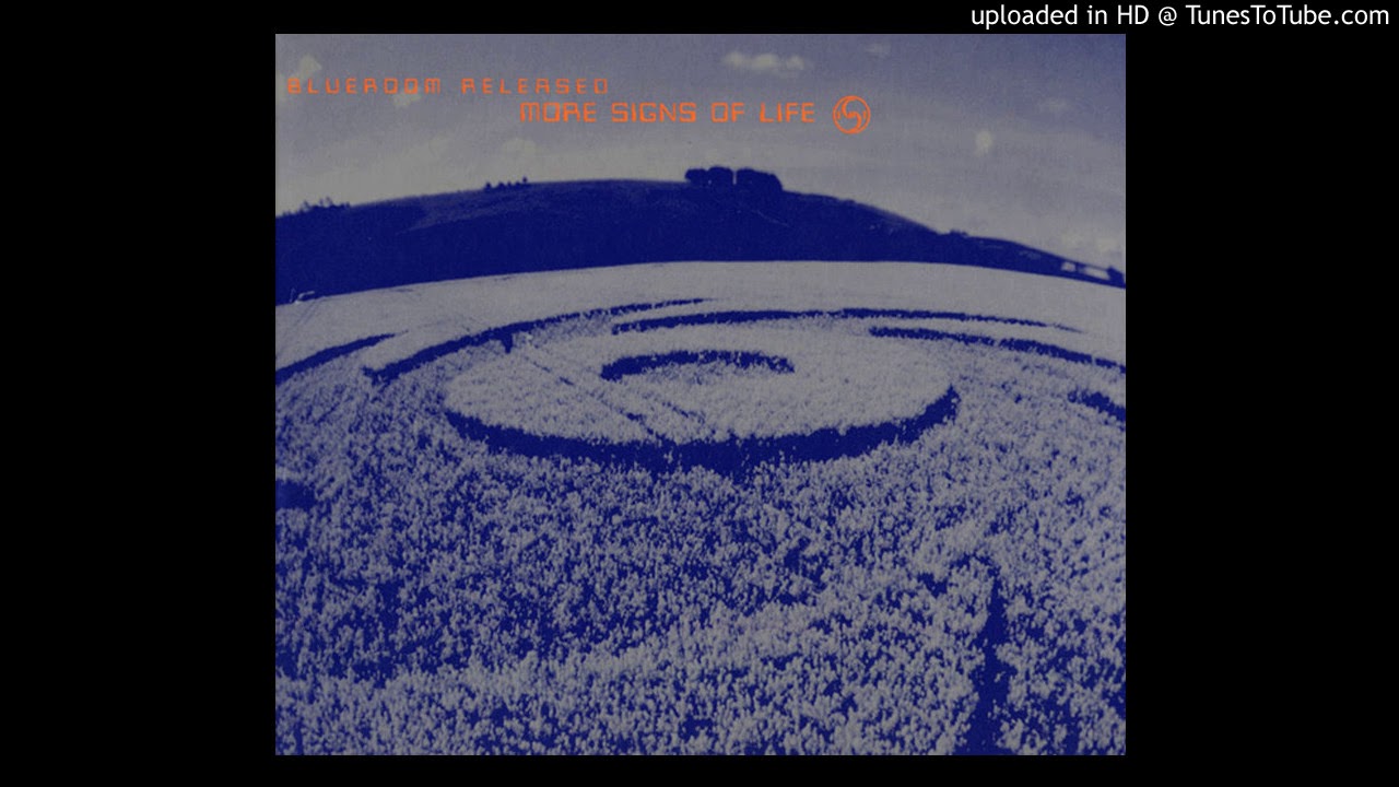 Deviant Electronics - Suspense Hypothesis