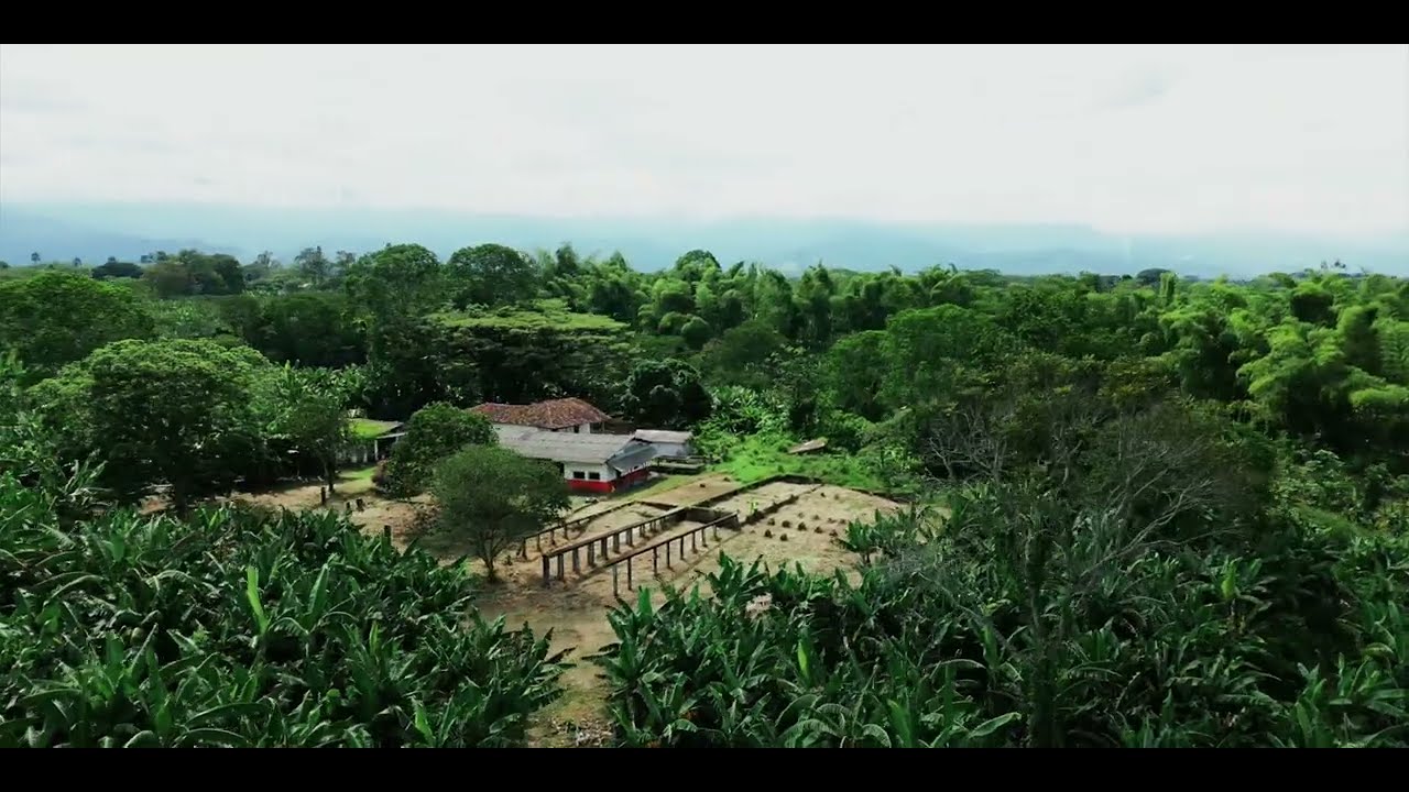 Finca M-Ocean Montessori School / Vista aérea