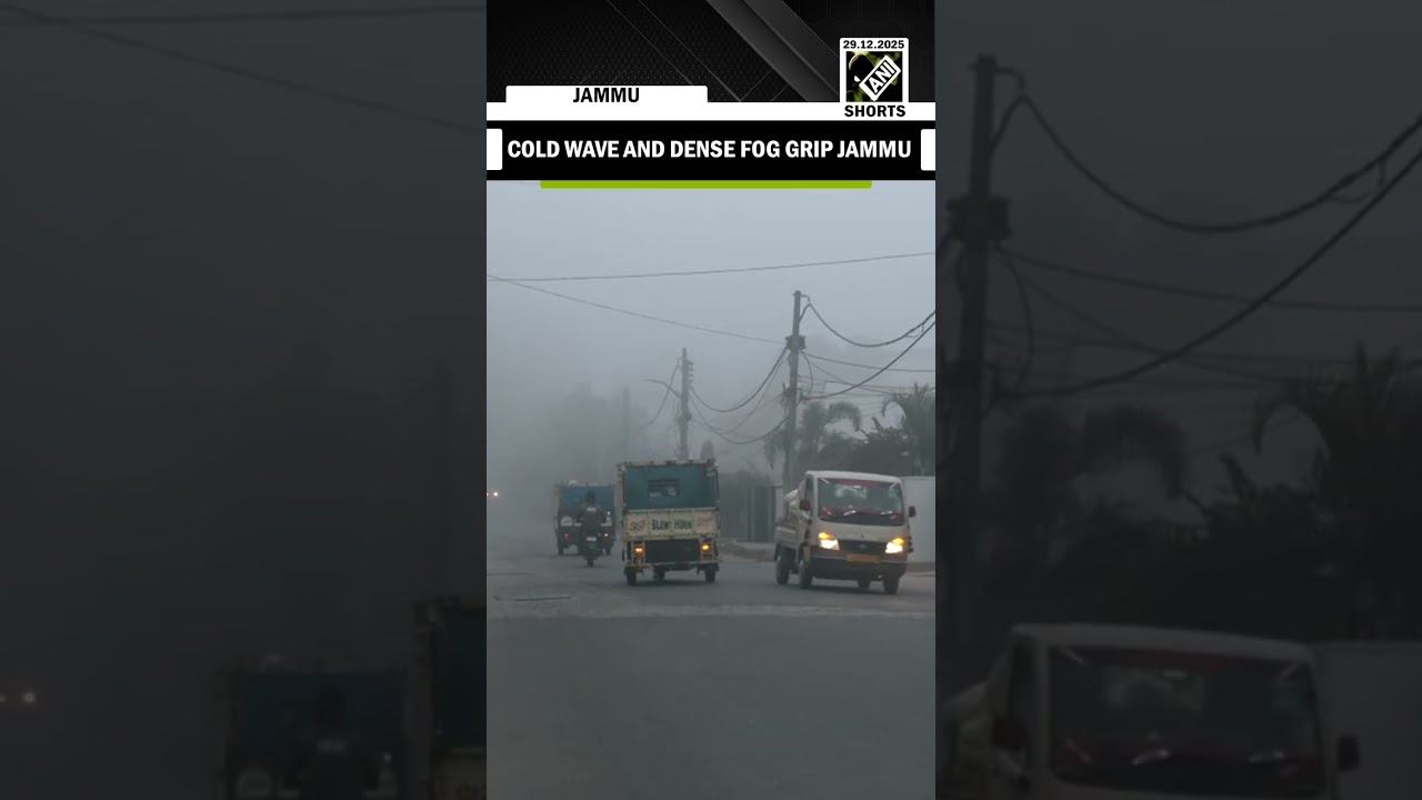 Cold wave and fog conditions continue in Jammu, temp dips to 8&deg;C