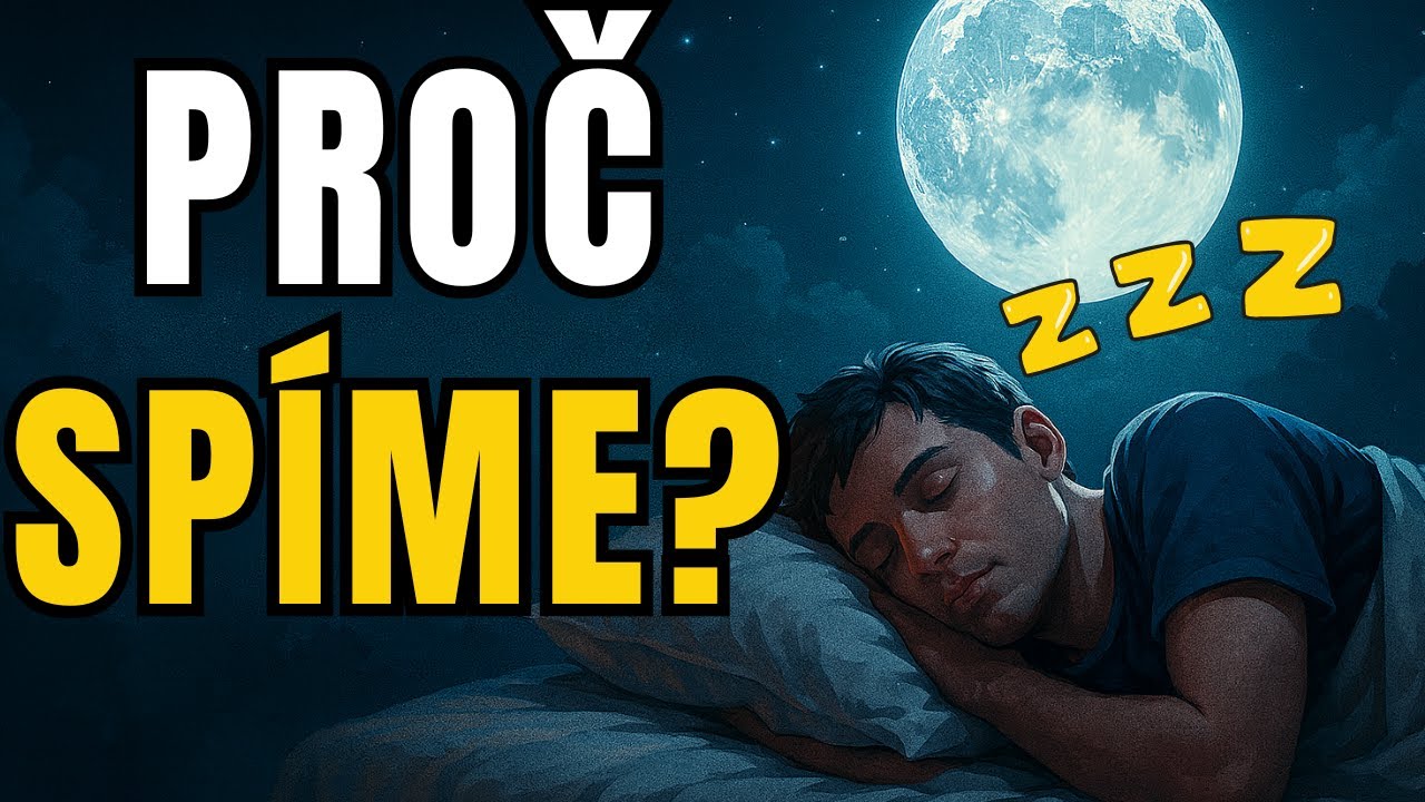 Proč Sp&iacute;me? Co se děje v mozku během sp&aacute;nku a jak sp&aacute;nek ovlivňuje Zdrav&iacute;, Paměť a Emoce?