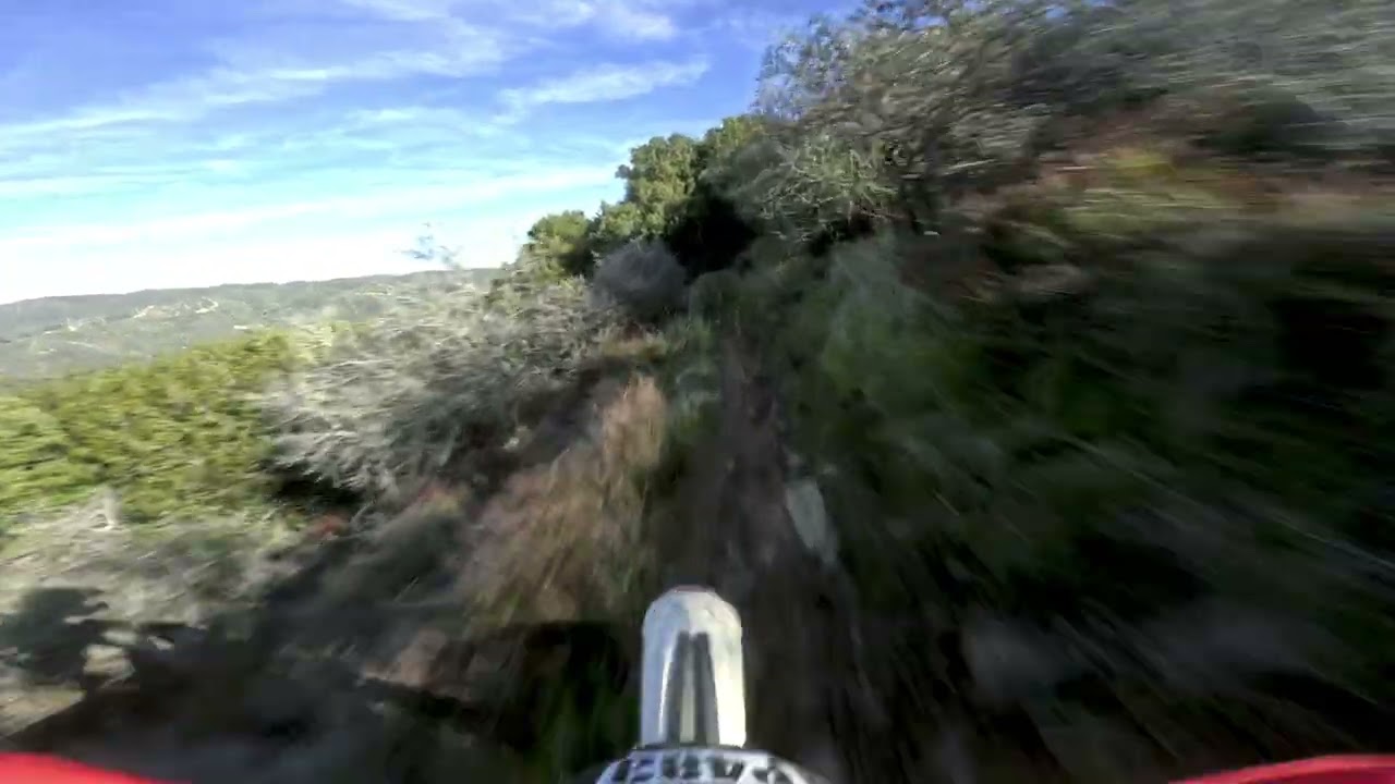 Fast Singletrack Run & Hill Climb