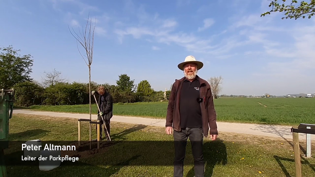 APX fürs Sofa – Baum des Jahres