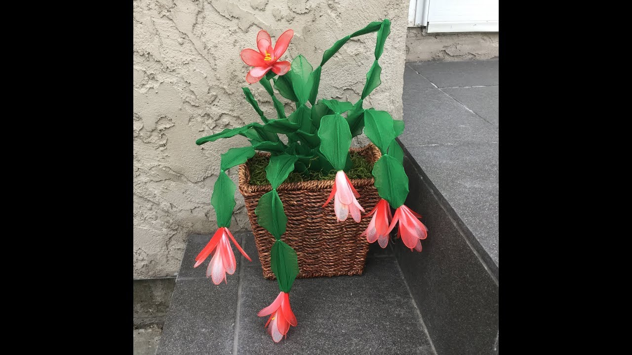 How to make a  nylon stocking flower - Christmas cactus