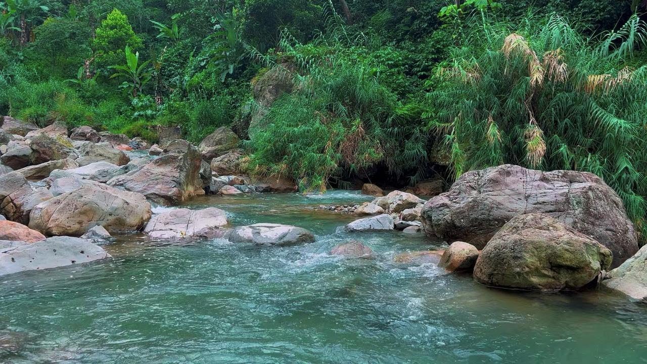 Stress Relief Sleep with Natural River Sounds | Relaxing Ambience for Quiet Peaceful Night | 4K-HDR