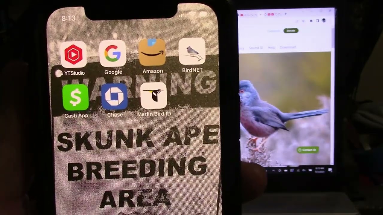Our Research Gear (The BirdNET App & The Merlin App)