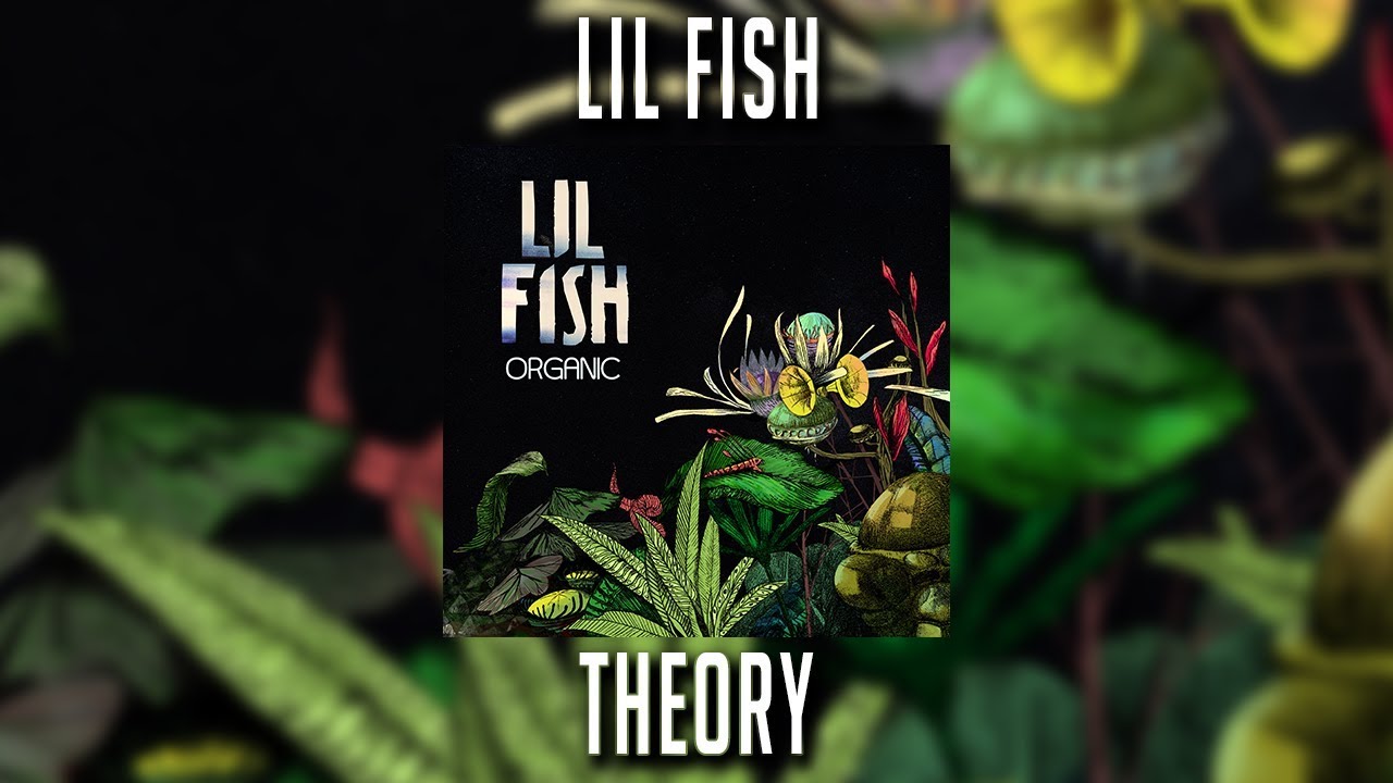 Lil Fish - Theory