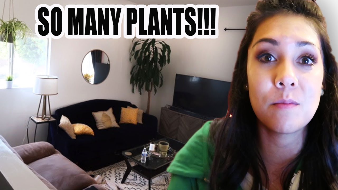 FINALLY DECORATING OUR HOUSE! (So many plants!!)  | NIRL