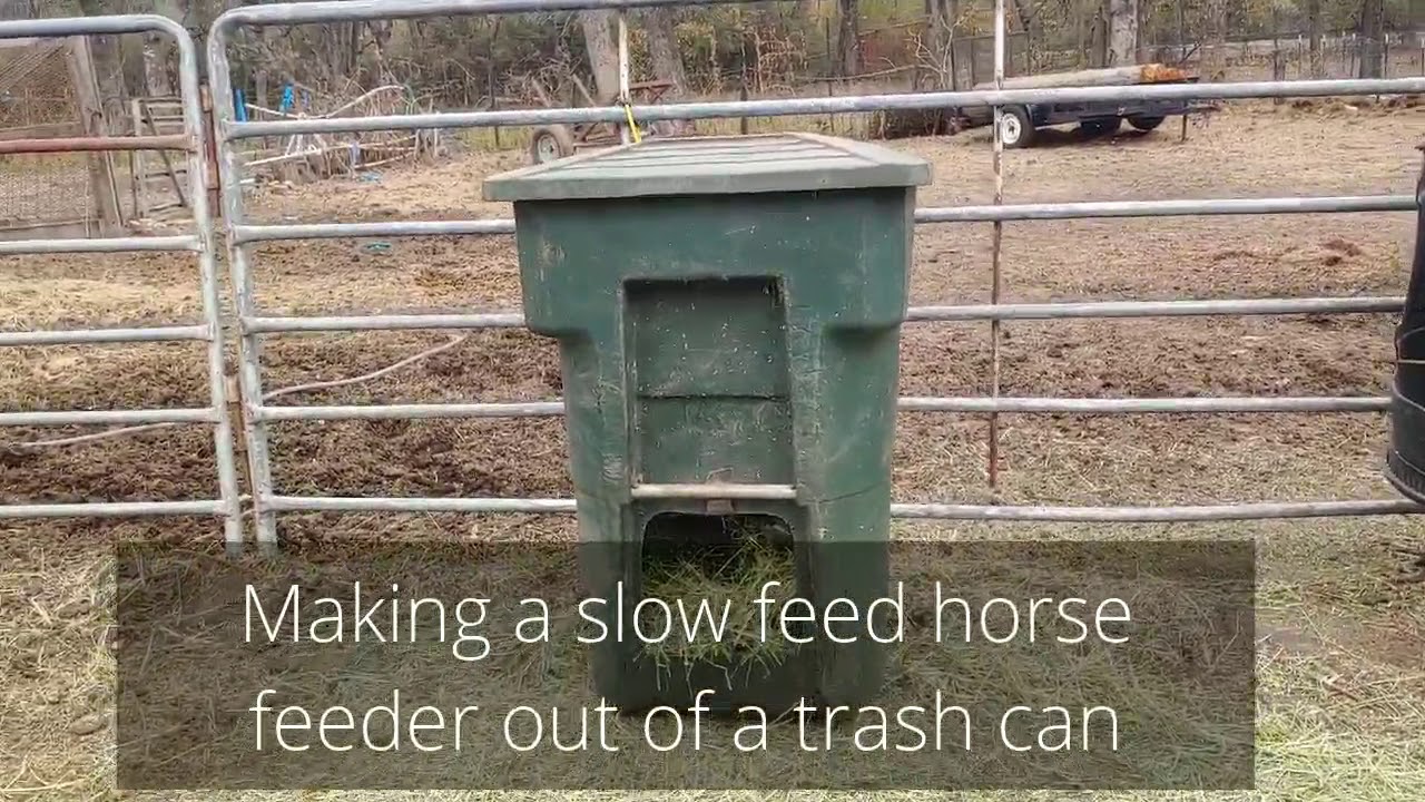 DIY - Slow feeder - Adding Feeding holes to a decommissioned trash can - Rolls around easy