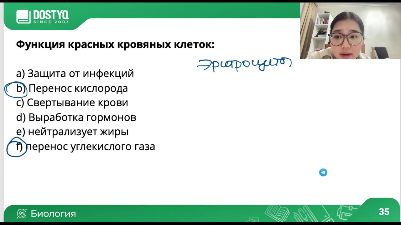 Транспортная система. ЕНТ биология. Разбор теста