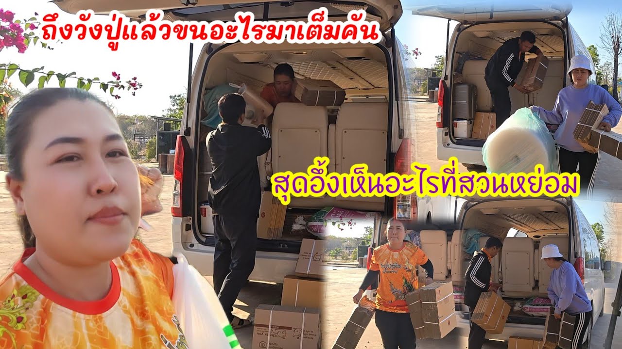 ถึงวังปู่แล้ว  ขนอะไรมาเต็มคัน  สุดอึ้งเจอสิ่งนี้ในสวน#ปุ๊แม่น้องหมิว 
