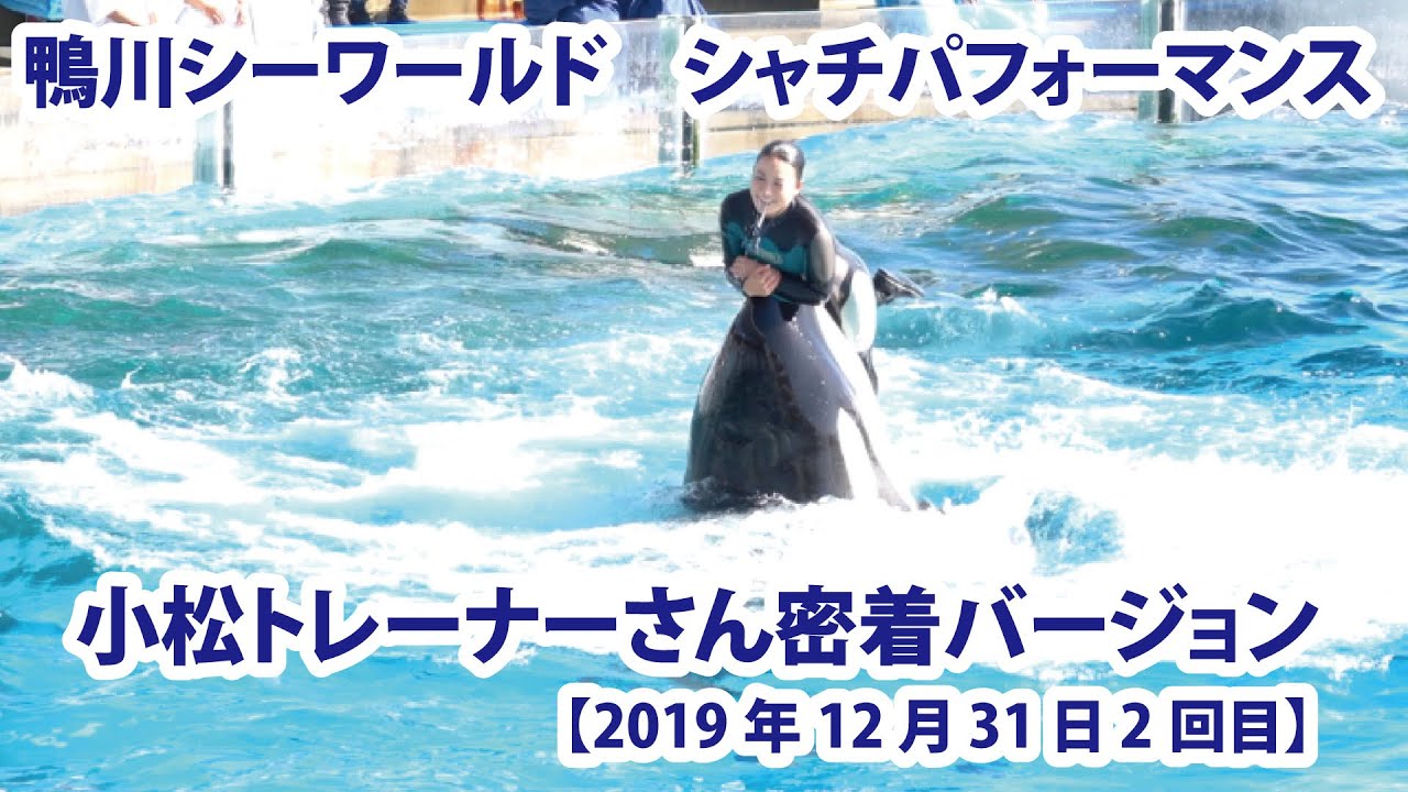 【2019年12月31日2回目】鴨川シーワールド　シャチパフォーマンス　小松トレーナーさん密着バージョン