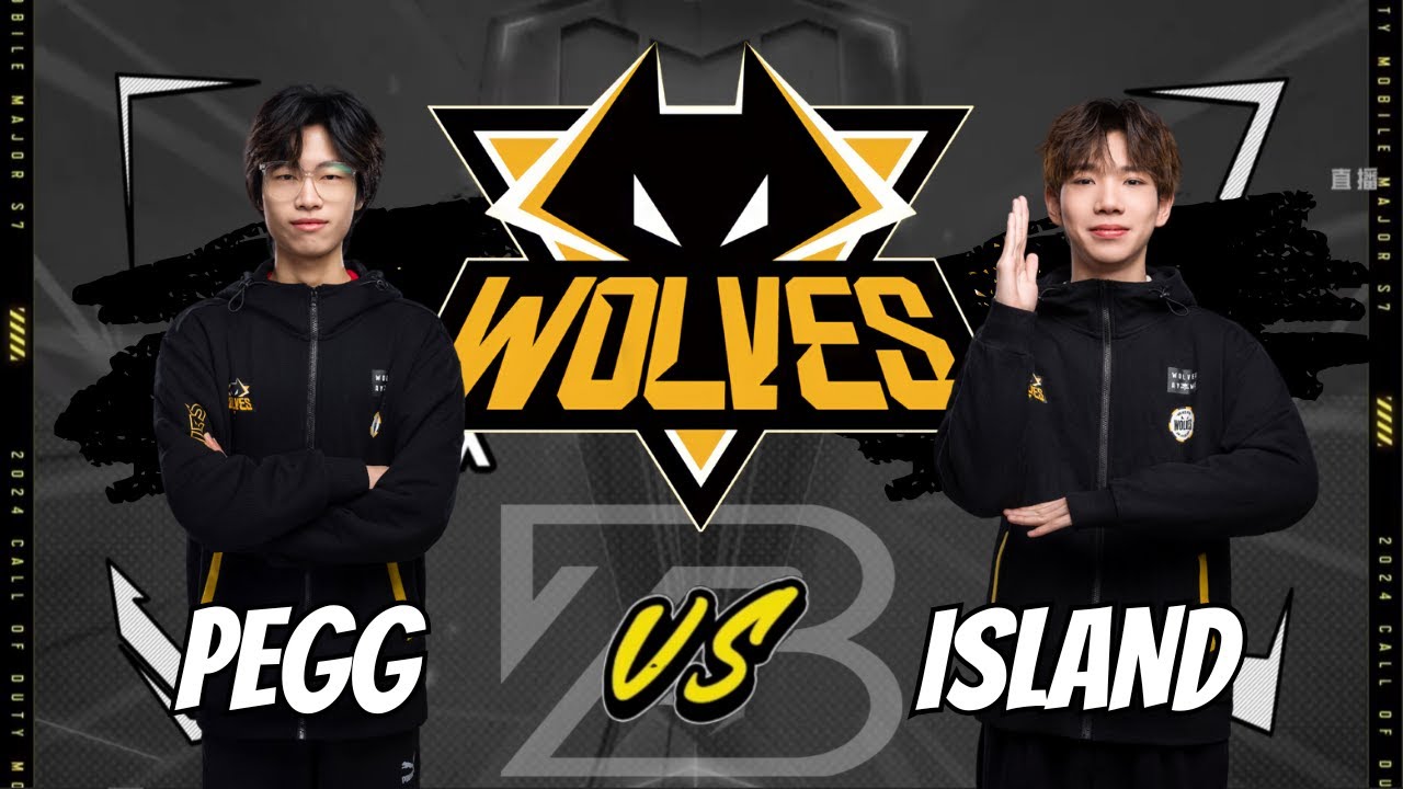 WOLVES.PEGG vs WOLVES.ISLAND (Type 19 & Tundra) 1V1 🤯🔥 STREAM PEGG 02.06