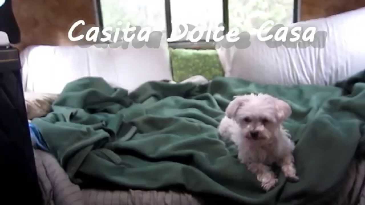 Casita Dulce Casa - Vlog #2