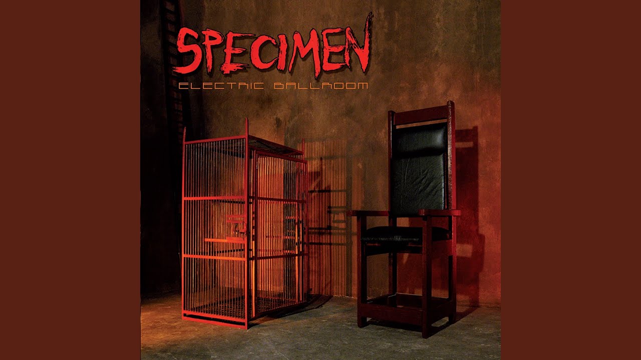 Electric Ballroom