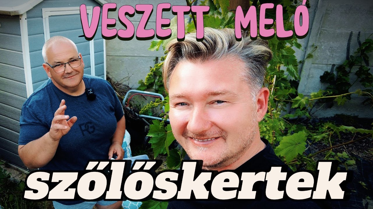 🍇 SZŐLŐSKERTEK 2./5.rész ►  ERNŐT VESZETTÜL MEGDOLGOZTATOM