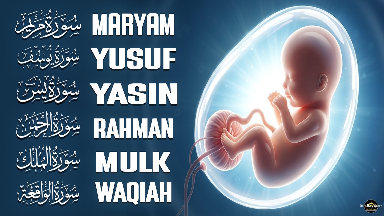 Pregnancy Quran Surah Full Of Noor | Surah Maryam,Yusuf,Yasin,Mulk | Faith And Devotion For Mothers