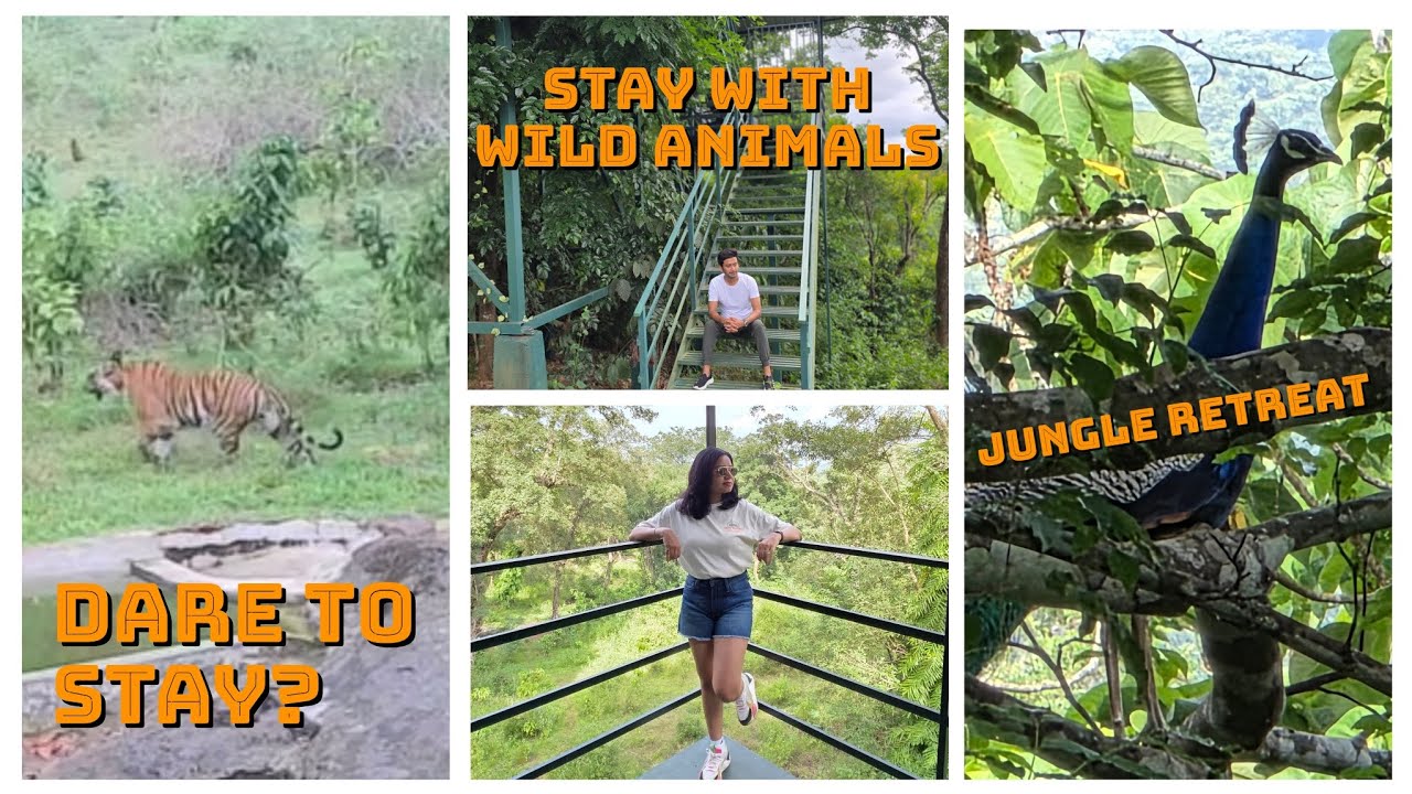 Jungle Retreat Wayanad | Night Safari Experience