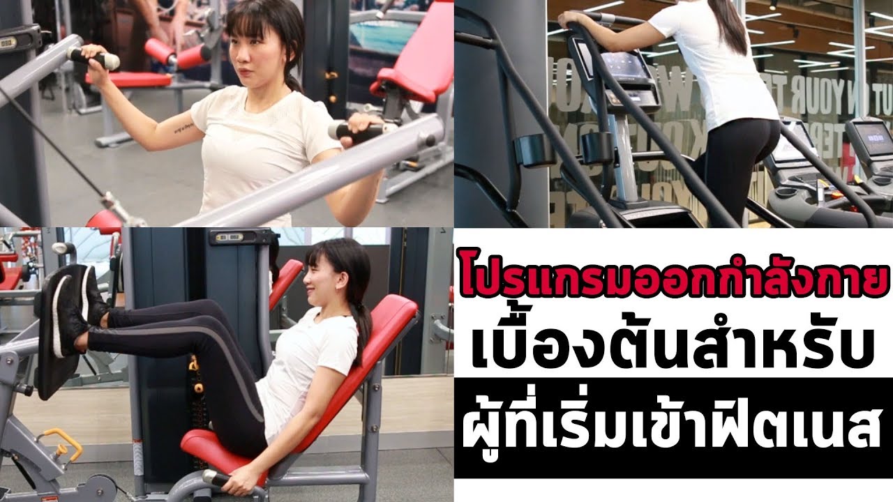 โปรแกรมออกกำลังกายเบื้องต้นสำหรับผู้เริ่มเข้าฟิตเนส I CU.FITGIRL
