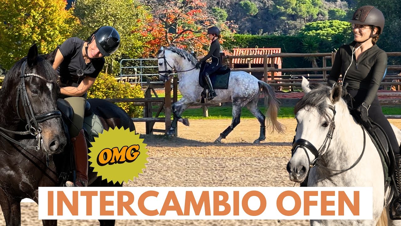 ¡Intercambio de Caballos con Ofen y Gala! 🐴 Ofen 🔄 Mister Libertades 🌟