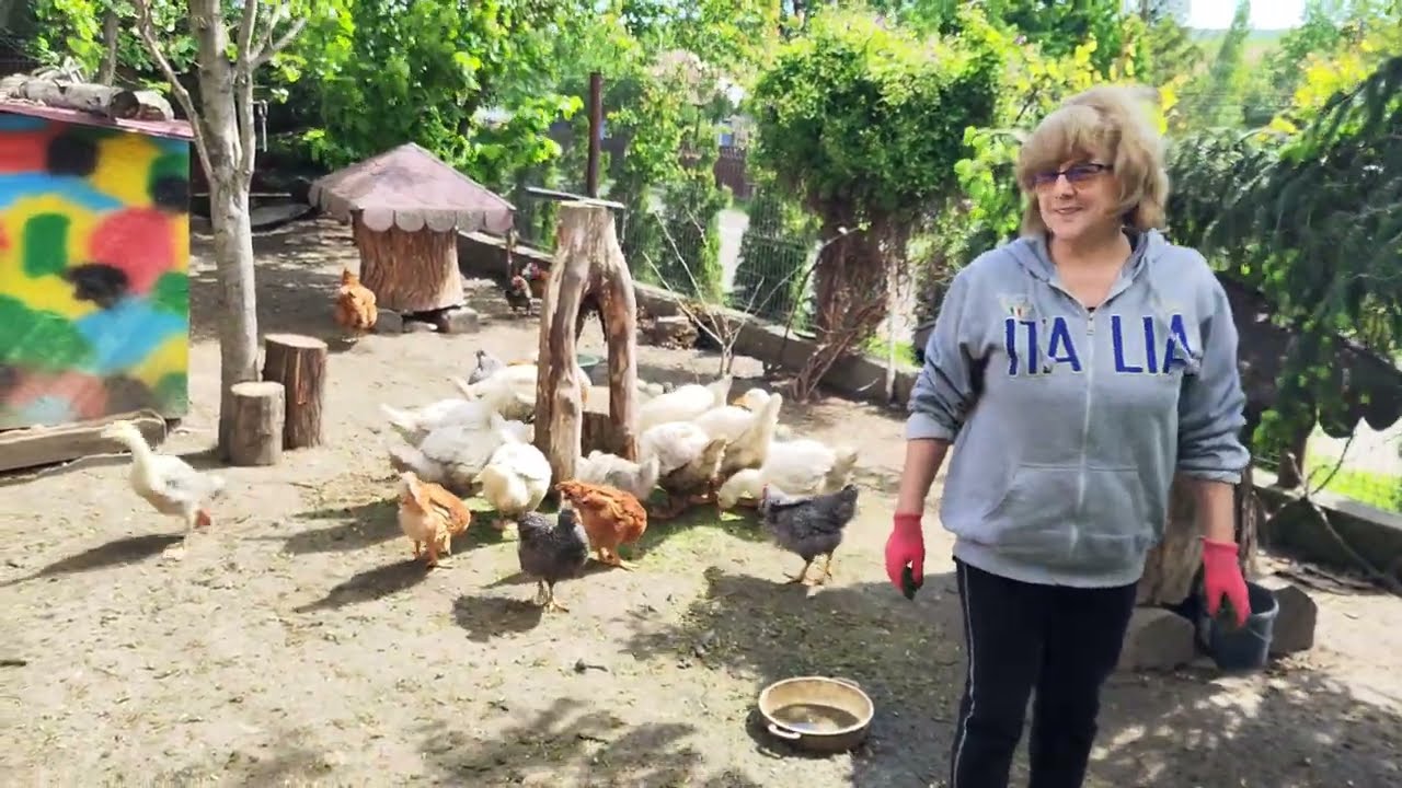 GIRAFĂ LA BOBOCI🦒LUCRĂRI ÎN SOLAR 🍅 MÂNCARE LA ANIMALE  ÎN FERMĂ 🐐🐑🪿