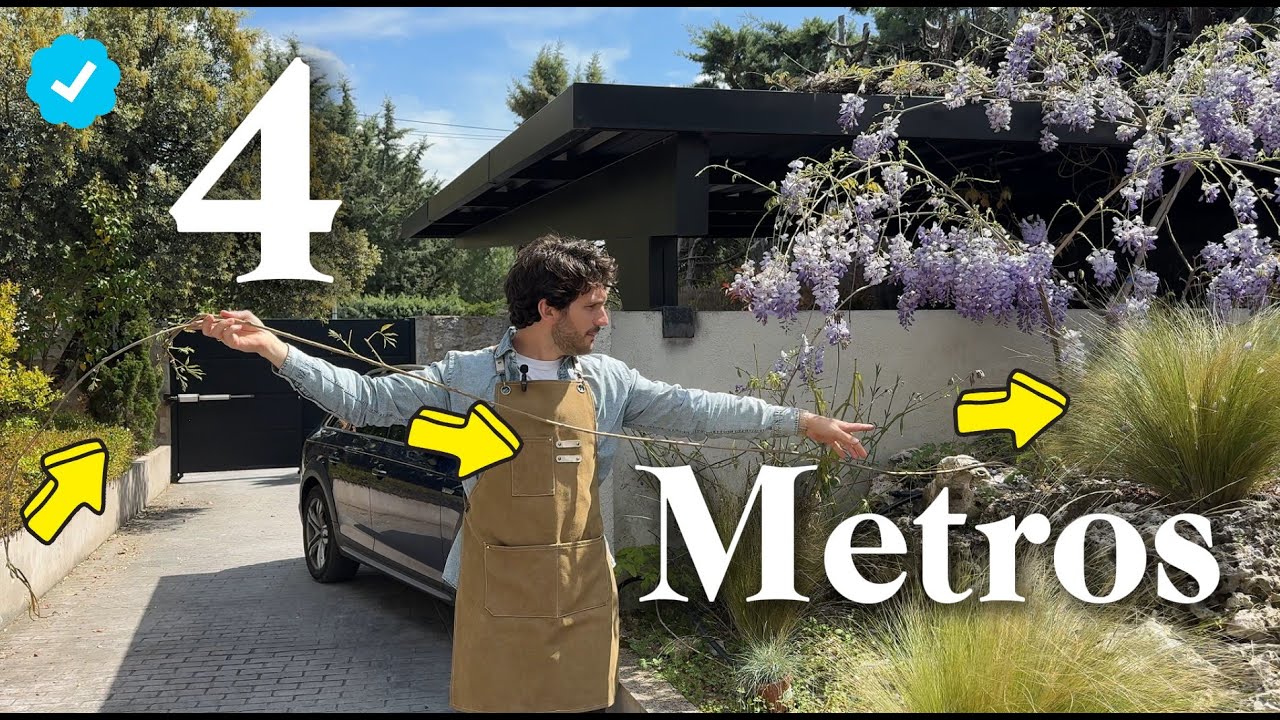 2 Glicinas ¿Cuál Te conviene? - Cuidados de Wisteria o Glicina