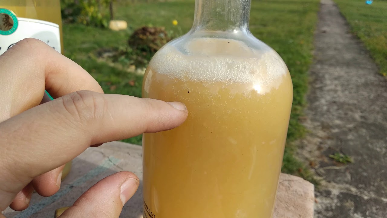 Test swojskiego wina - domowej produkcji. Składnik - jabłko papier&oacute;wka.