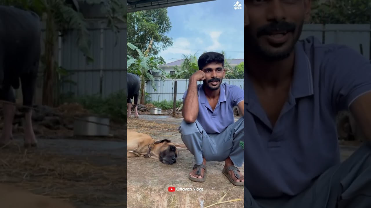 ഇങ്ങനെ ഒരു വീഡിയോ ഇതുവരെ ചെയ്തിട്ടില്ല.. ചെയ്യാൻ ഉള്ള കാരണം 😡😡 I Shimil Malappuram #trendingvideos