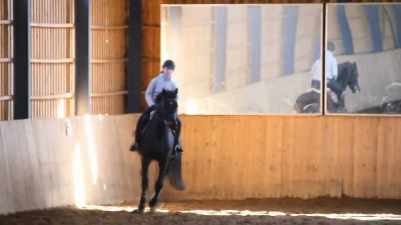 kouluvalmennus 29.3.2013